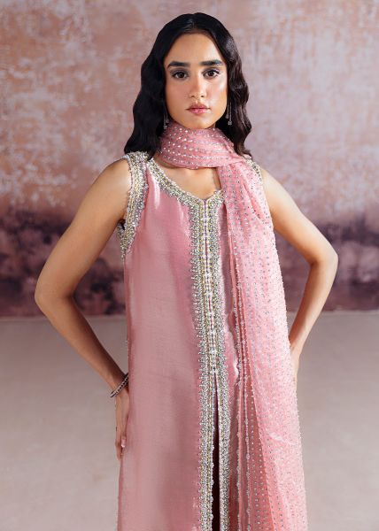SRA WEDDING FESTIVE ORGANZA HAND EMBLISHED COLLECTION AYDA