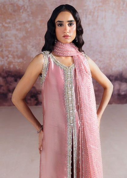 SRA WEDDING FESTIVE ORGANZA HAND EMBLISHED COLLECTION AYDA